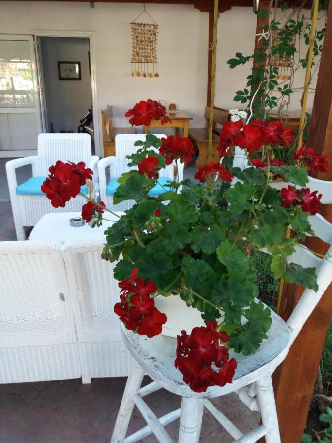 Alba Family Club Hotel Primorsko Exteriér fotografie