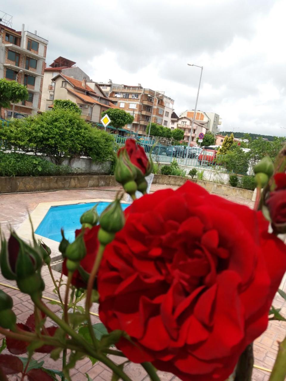 Alba Family Club Hotel Primorsko Exteriér fotografie