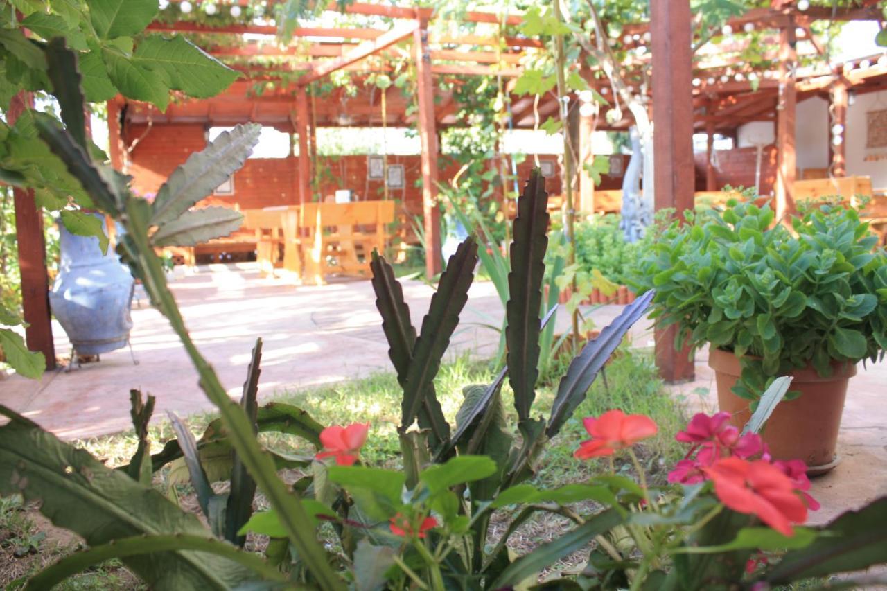 Alba Family Club Hotel Primorsko Exteriér fotografie